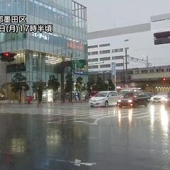 【大雨】東京都心周辺…