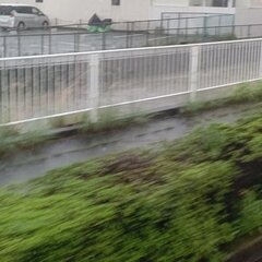 【大雨】静岡県浜松市…