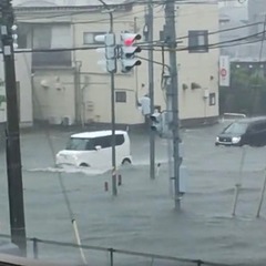 【大雨】新潟市各地で…