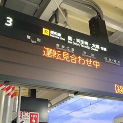 【阪和線】上野芝駅〜…