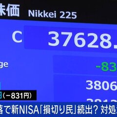 【NISA】株価大幅…
