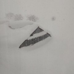 富山県さん 完全に雪…