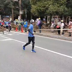 【動画】奈良マラソン…