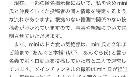 【炎上】『miniの…