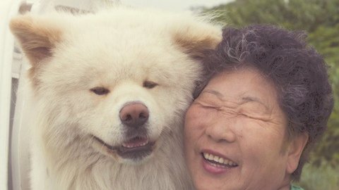 志村どうぶつ園 飼い主 菊谷さんが天国へ ブサカワ犬 わさお は今どうしているのか まとめダネ