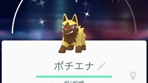 ポケモンgo 今日から新イベント ポチエナ の色違いも まとめダネ