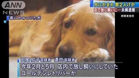 神戸市中央区元町のカフェ ココシカ 店長 犬に噛まれた被害女性につきまとい再逮捕 職場が分かってよかった まとめダネ