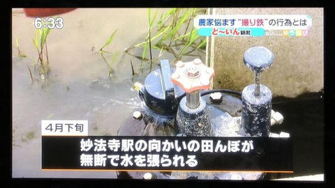 サクナヒメの流行によ…