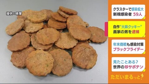 逮捕 眞田大介容疑者 31 画家を逮捕 大麻クッキーを販売か 静岡市清水区三保 まとめダネ