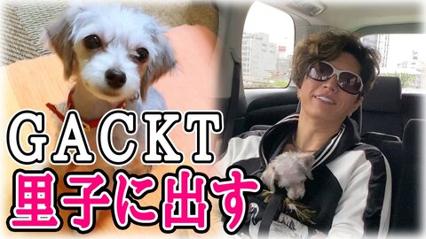 【炎上】GACKTが…