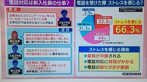 モーニングショー 新入社員に電話応対を任せるのは Telハラ じゃ仕事させたらハラスメントと言われるのかと批判続出 まとめダネ