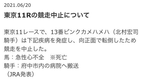 訃報 ピンクカメハメハ死去 急性心不全で死亡 Jraから正式発表 北村騎手は府中市内の病院へ搬送 まとめダネ