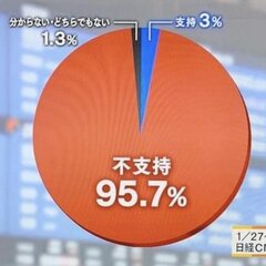 【不支持95.7%】…