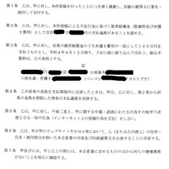 立憲民主党・塩村あや…