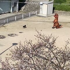 【画像】公園で恐竜と…