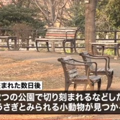 【事件】横浜市内の幼…