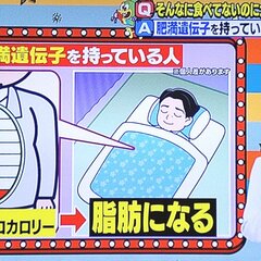 【悲報】太りやすさは…