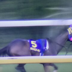 【競馬】オークス発走…