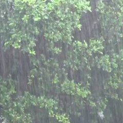 【豪雨】宮古島で50…