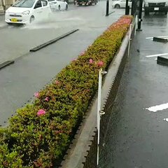 【雨やばすぎ】福島県…