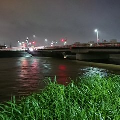 大阪府 安威川の水位…