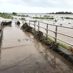 高知県 物部川で氾濫…