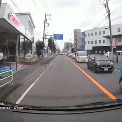 【動画】道路に飛び出…