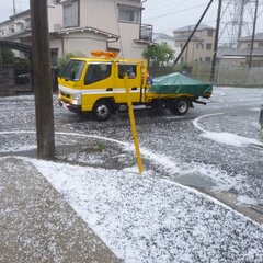 【ひょう】埼玉県春日…