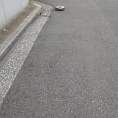 野生のルンバが目撃さ…