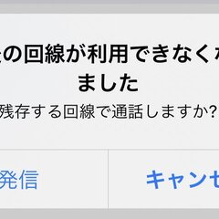 「最後の回線が利用で…