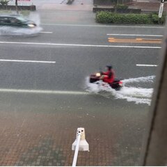 【大雨】台風4号 福…