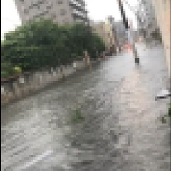 【大雨】広島市内で浸…