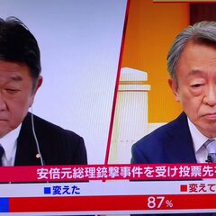 【参院選選挙】安部元…