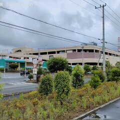 【大雨】埼玉県で観測…