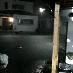 【大雨】宮城県大橋氏…