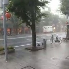 【大雨】沼津市に土砂…