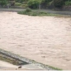 【悲報】鴨川が氾濫し…