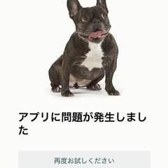 【犬】amazonプ…