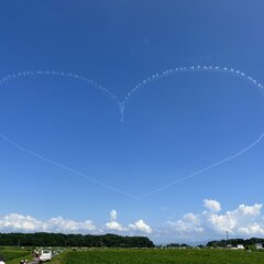 滋賀県高島市付 ブル…