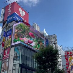 【動画】クロス新宿ビ…