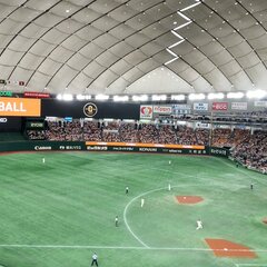 「試合中バットが飛ん…