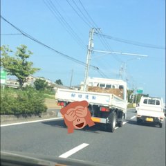 【事故】埼玉大橋でト…