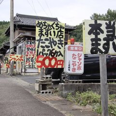 めちゃくちゃ消極的な…