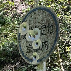 散弾銃で撃たれた標識…