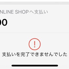 【Apple Pay…