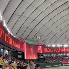 【動画】坂本勇人さん…