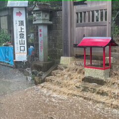 【台風14号】丹沢大…