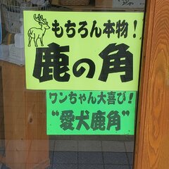 犬用の鹿の角が危険と…