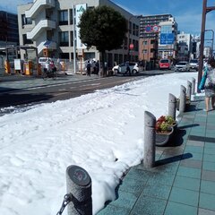 【泡】神奈川県大和市…