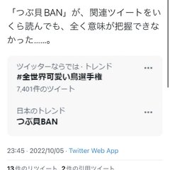 【BAN】マインクラ…